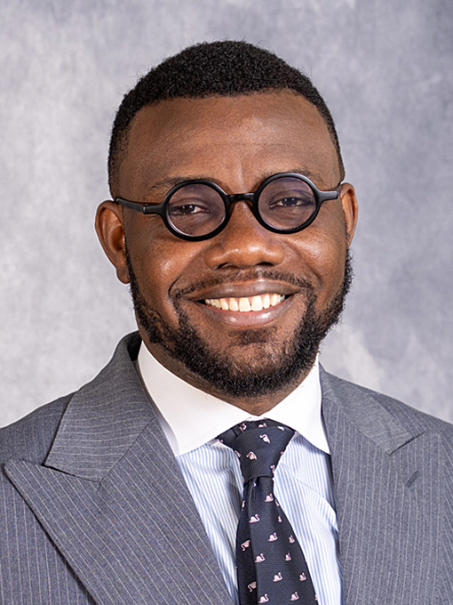 Adeyinka Ogunleye